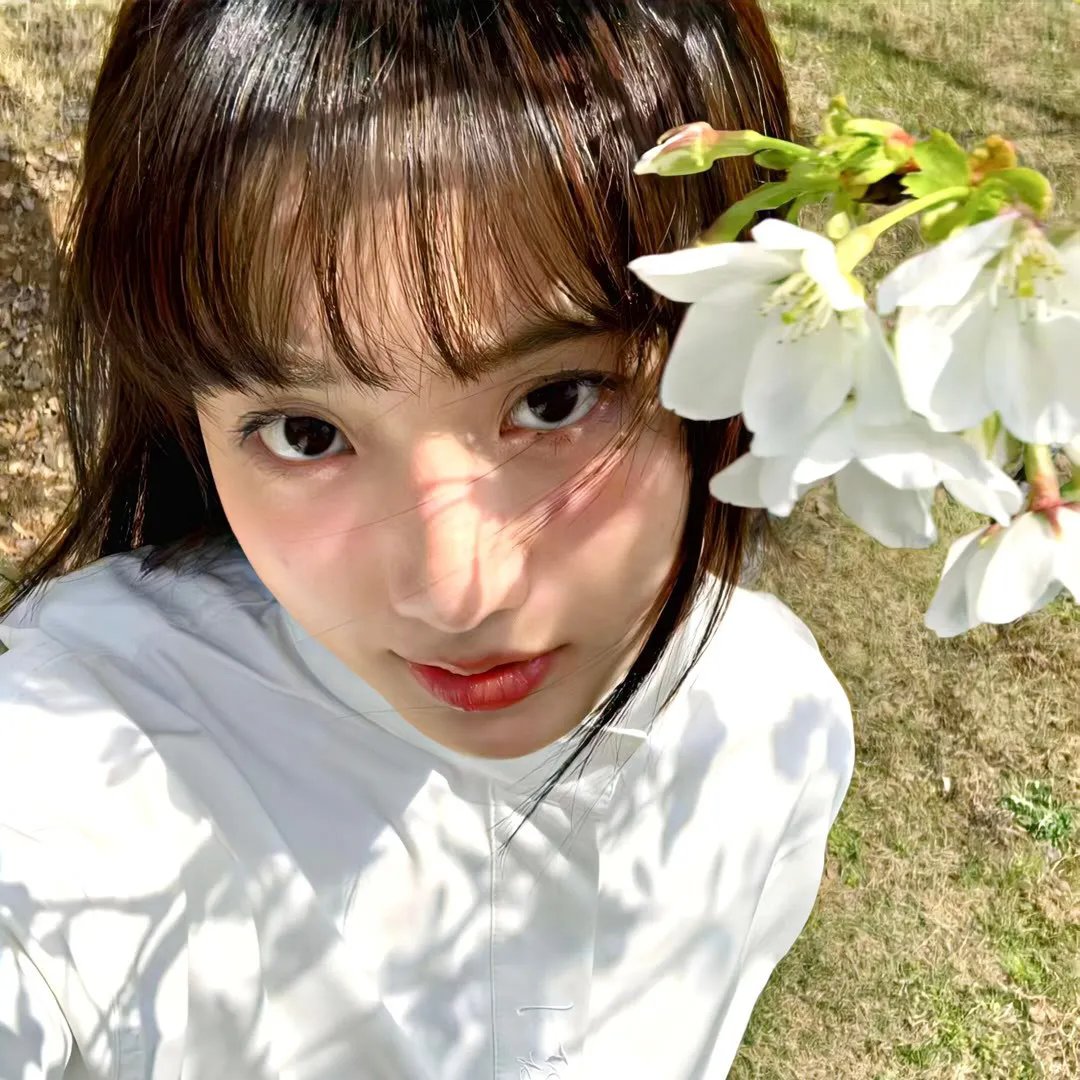 李卫当官2